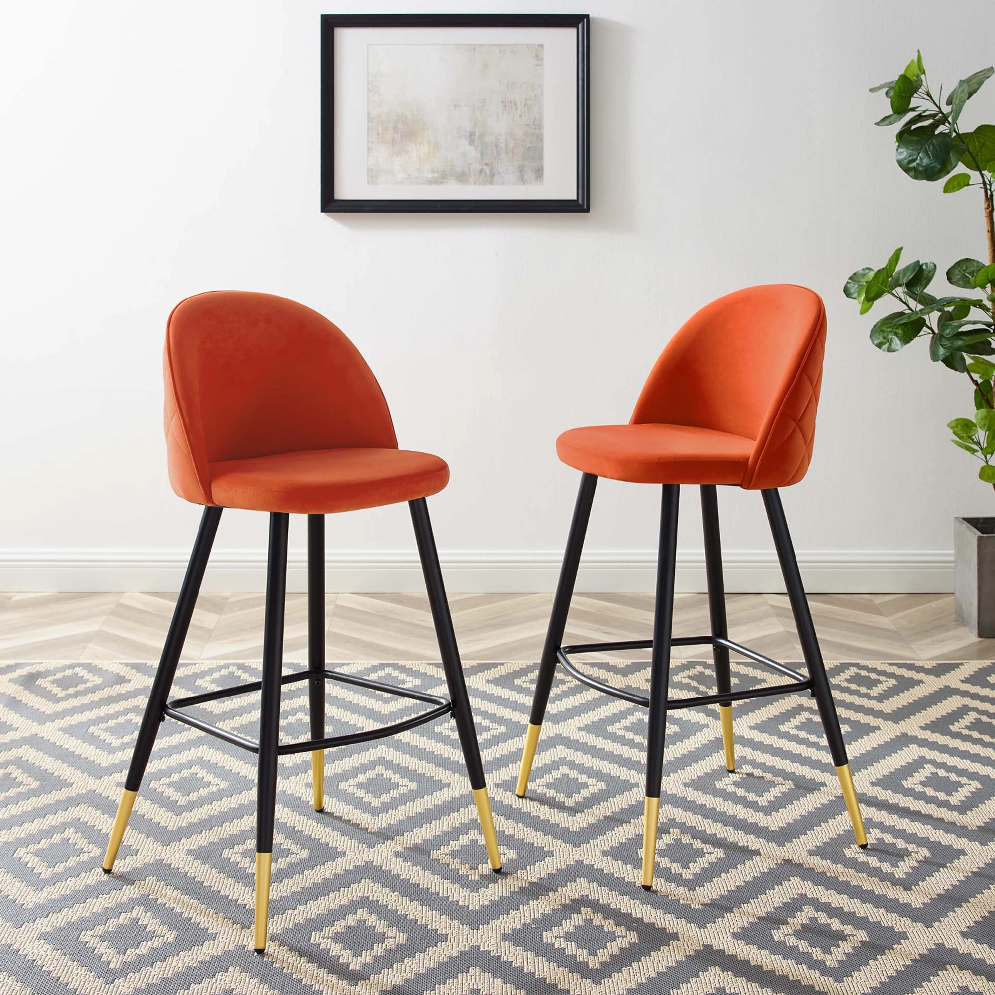Cordial Performance Velvet Bar Stools - Set of 2 by Modway