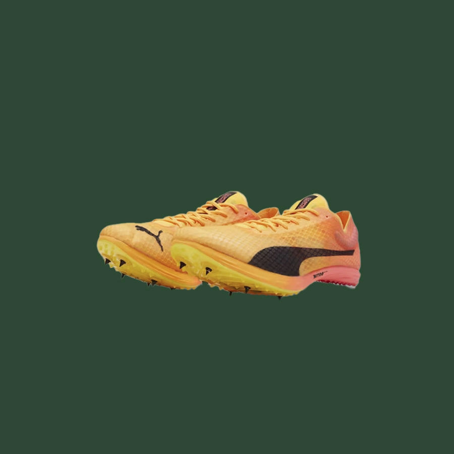 Puma Evospeed Distance Nitro Elite  4