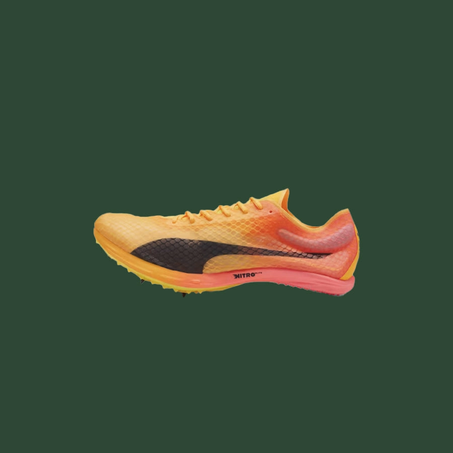 Puma Evospeed Distance Nitro Elite  4