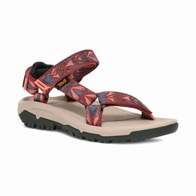 Women's Hurricane XLT2 Archive Wings Blooming Dahlia